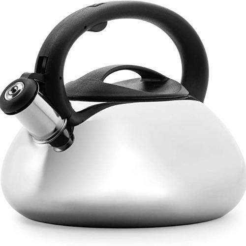 Primula Today Whistling Kettle, Simon, Stainless Steel, 2 Quarts