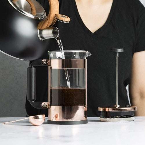 Primula 8 Cup Coffee Press - Chrome