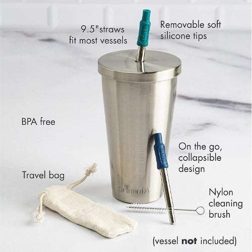 Recycled Stainless Steel Straw Set 4-Pack