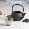 Hammered Cast Iron Teapot with Enameled Interior Lid adding to Stainless Steel Mesh Infuser